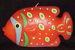 fish1.jpg (16804 bytes)