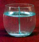gel02.jpg (7593 bytes)